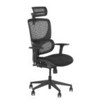 Fotel ergonomiczny ErgoNew S1